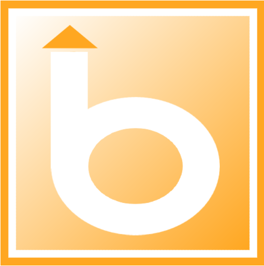 Bizwise Solutions Inc.